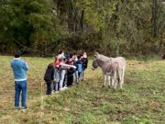 vacances_aprenantes_jpc_octobre_2020 (4_2)